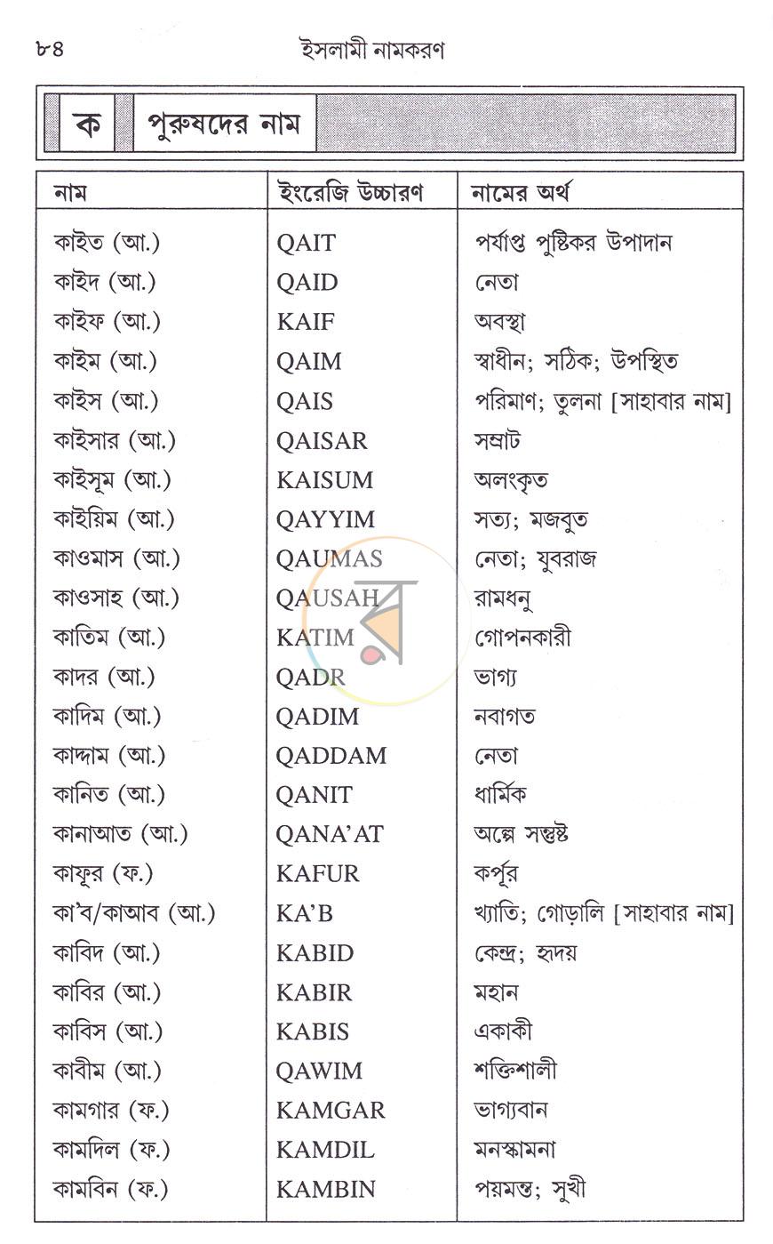 পাতা 11