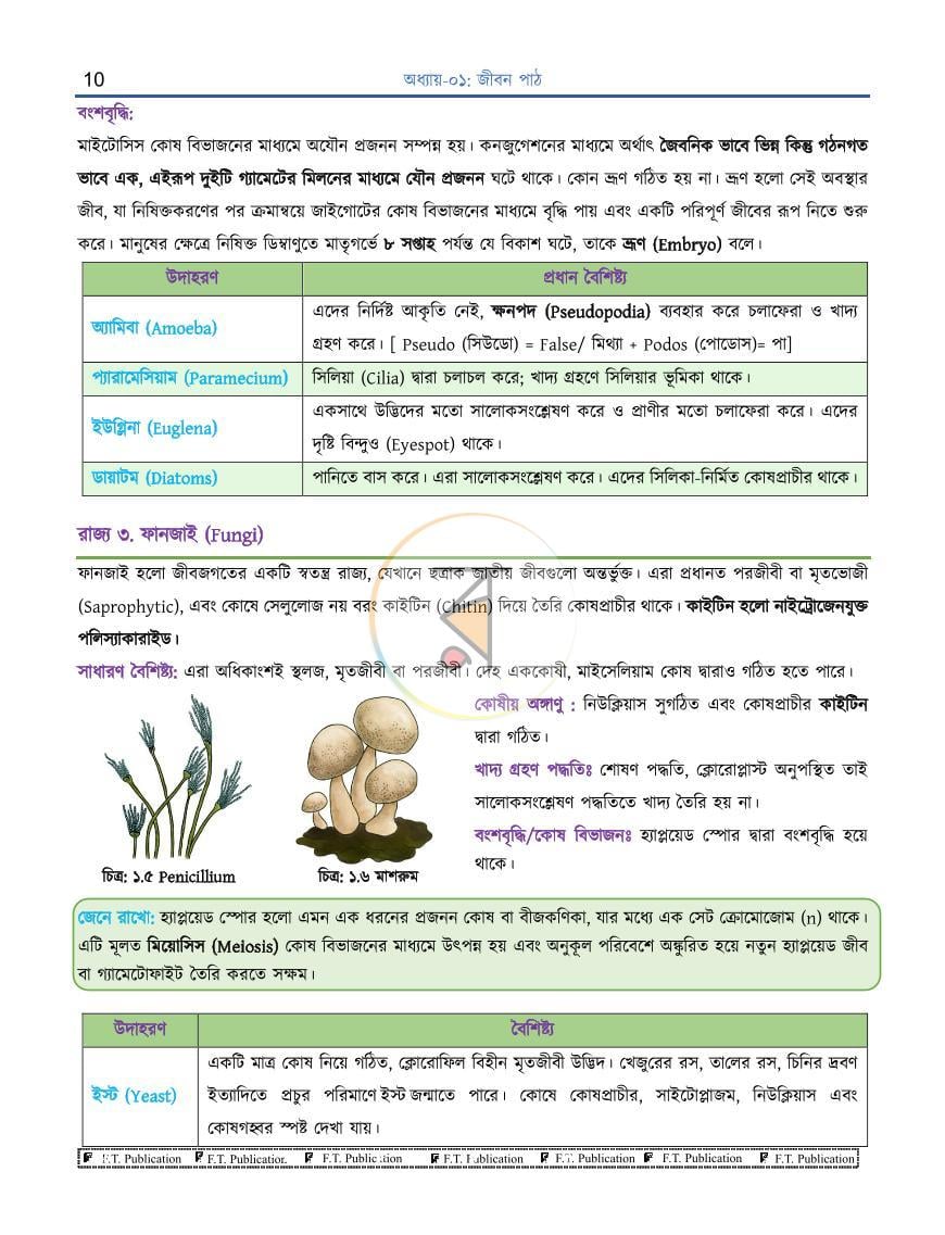 পাতা 10