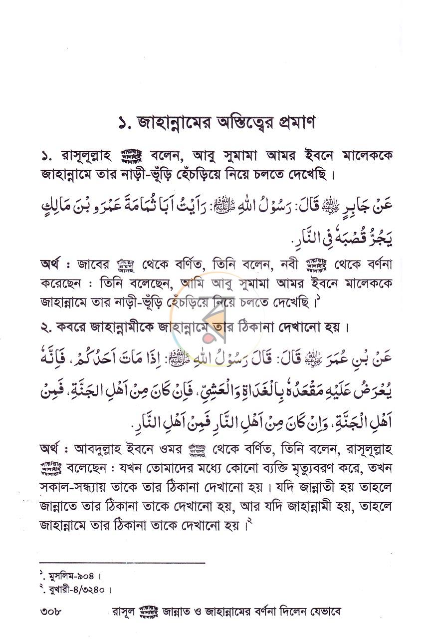 পাতা 11