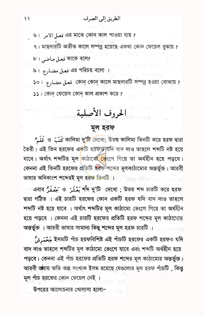 পাতা 10