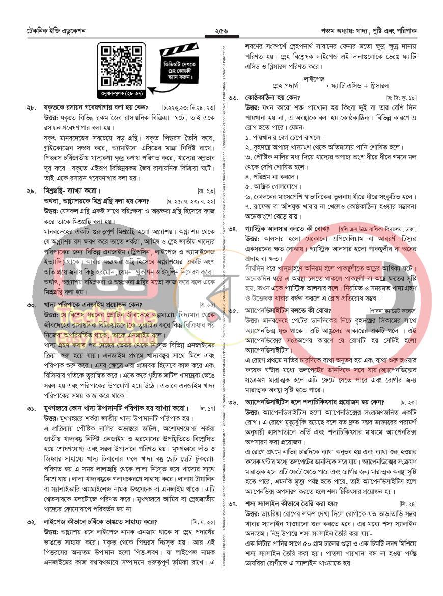 পাতা 31