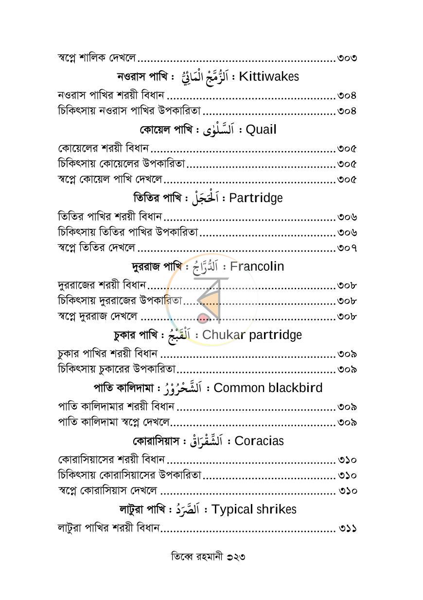 পাতা 19