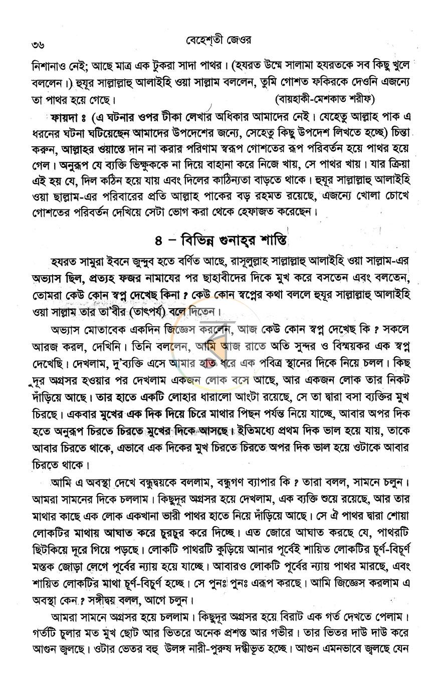পাতা 11