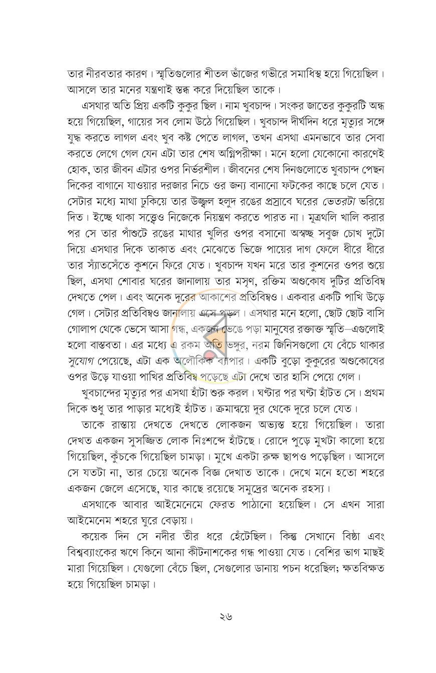 পাতা 13