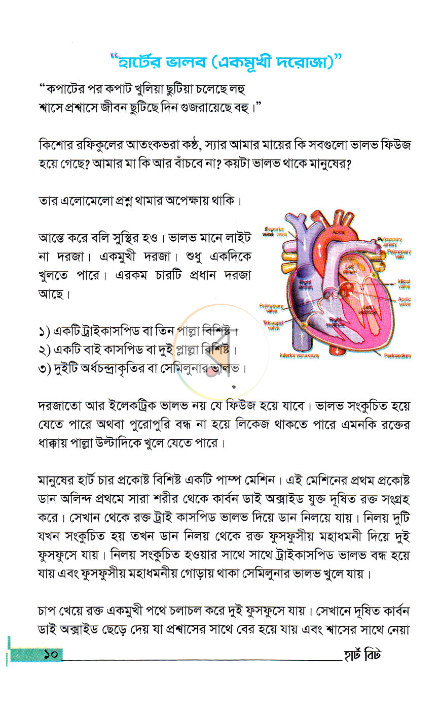 পাতা 7