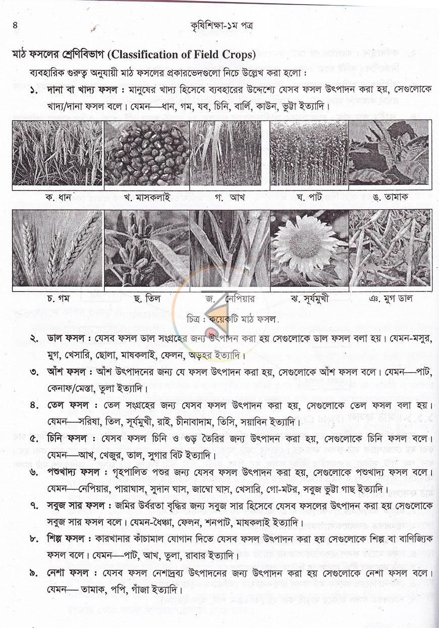পাতা 11