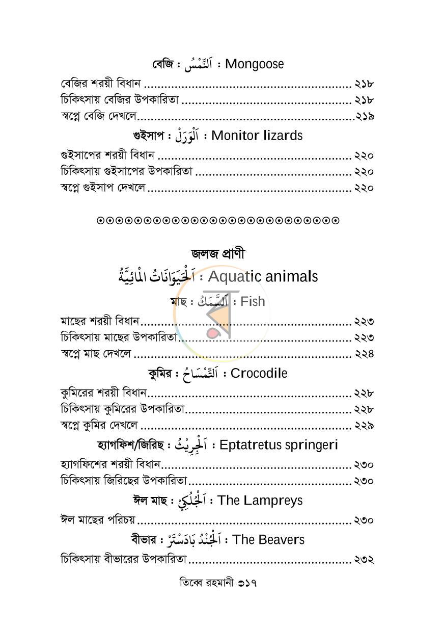 পাতা 13