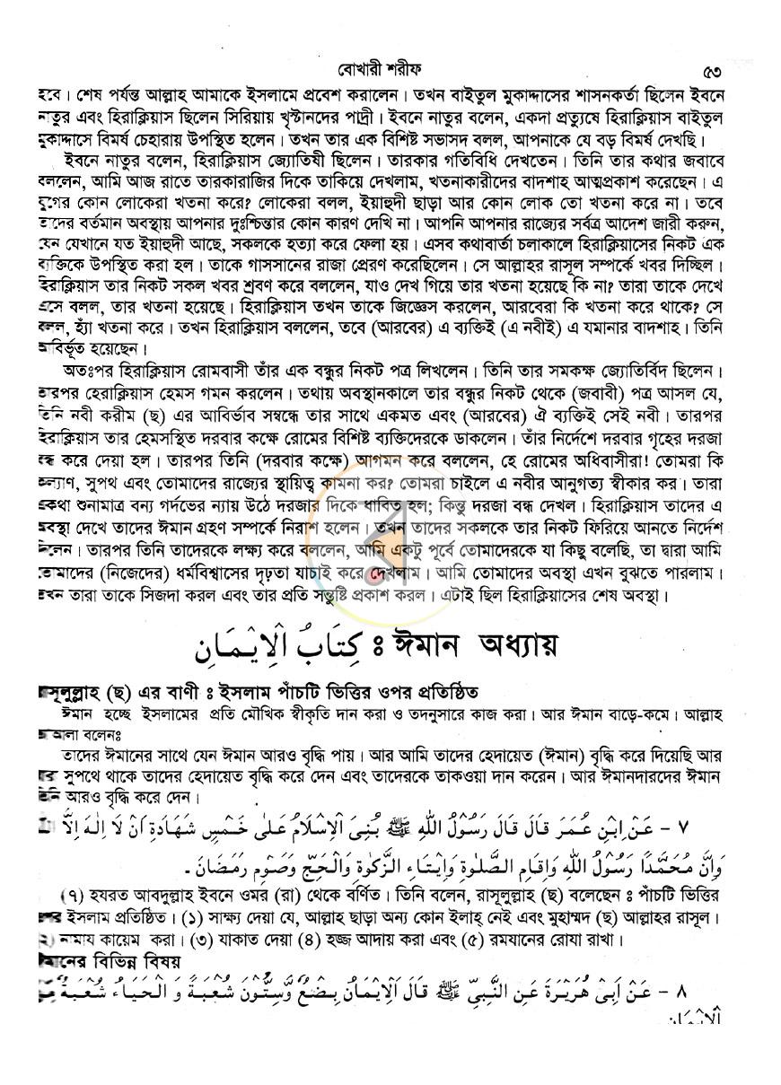 পাতা 13