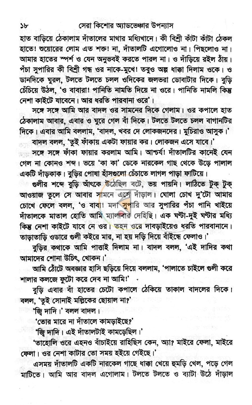 পাতা 13