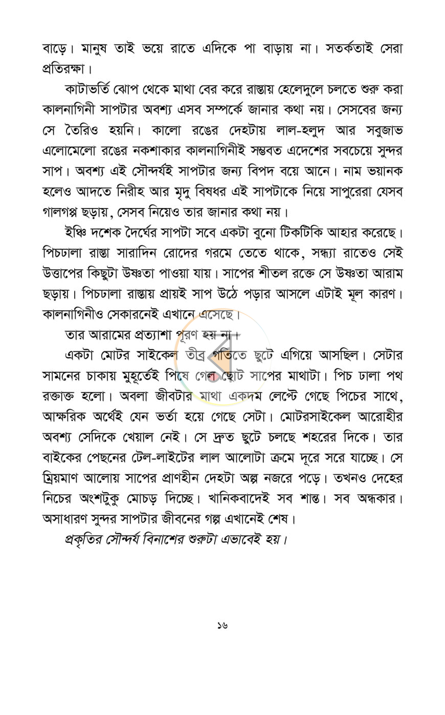 পাতা 13