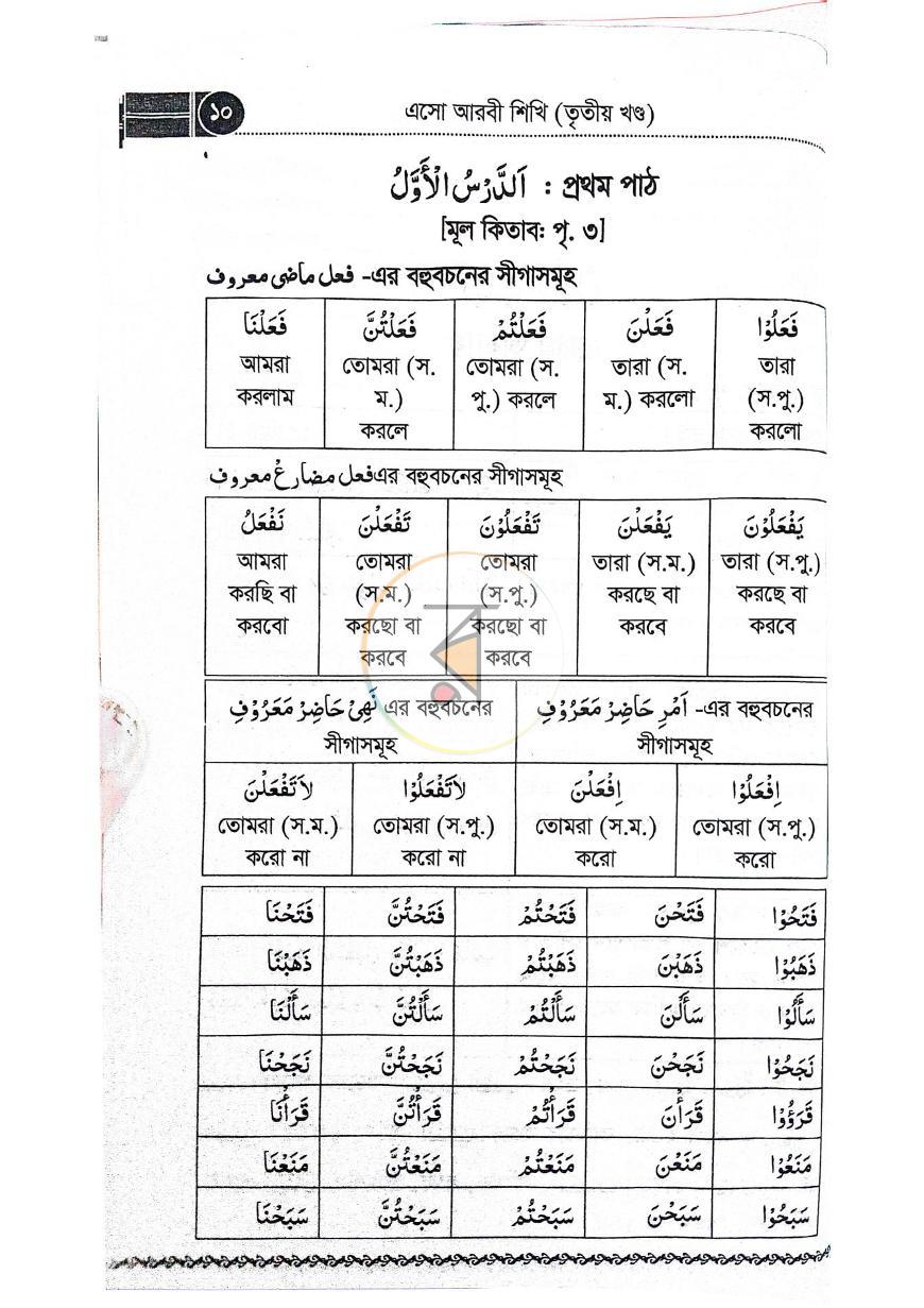 পাতা 11
