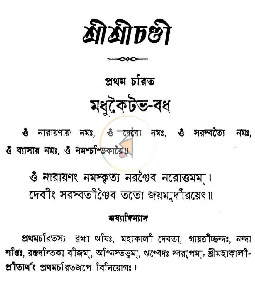 পাতা 11