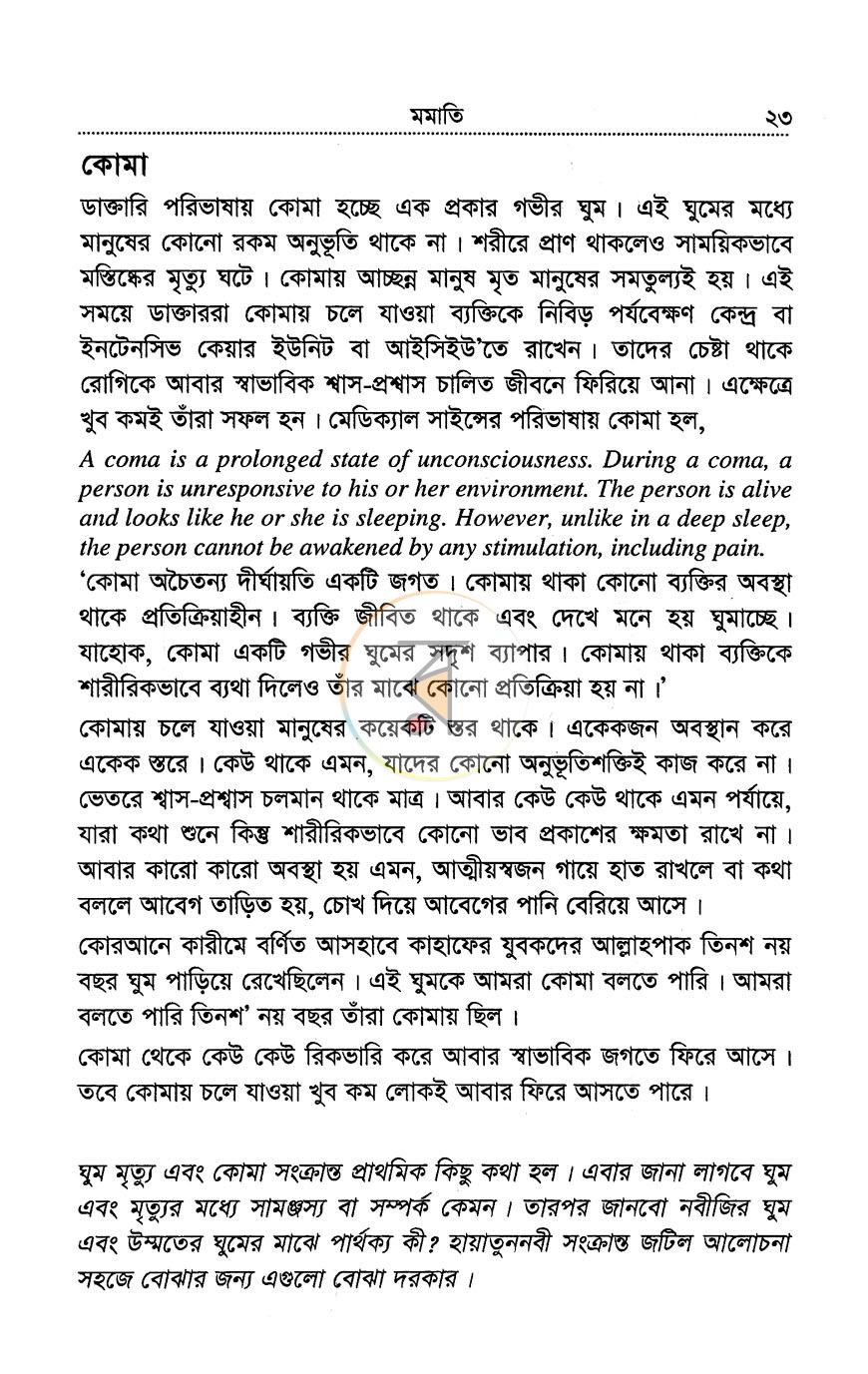 পাতা 13
