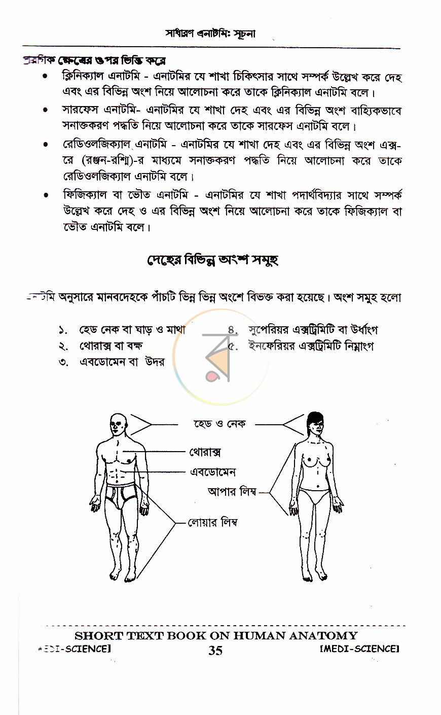 পাতা 13