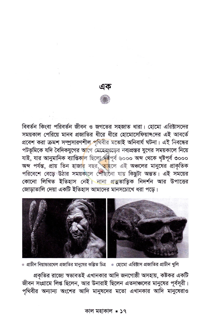 পাতা 8