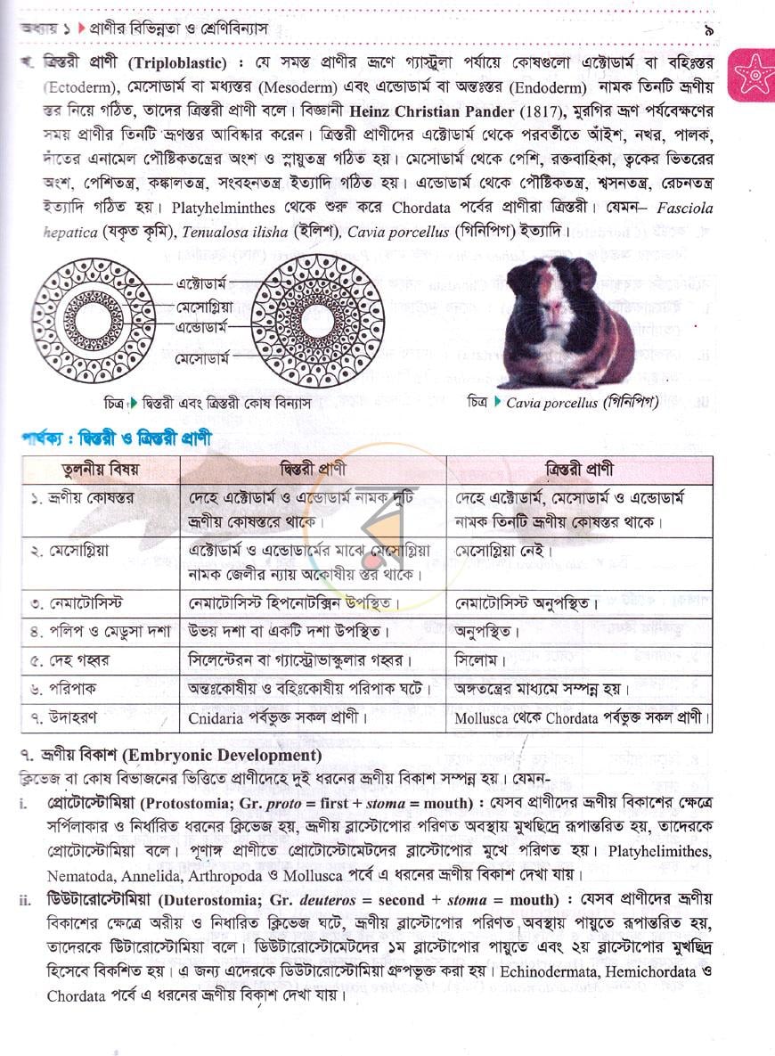 পাতা 10