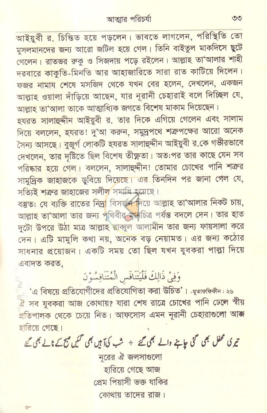 পাতা 13