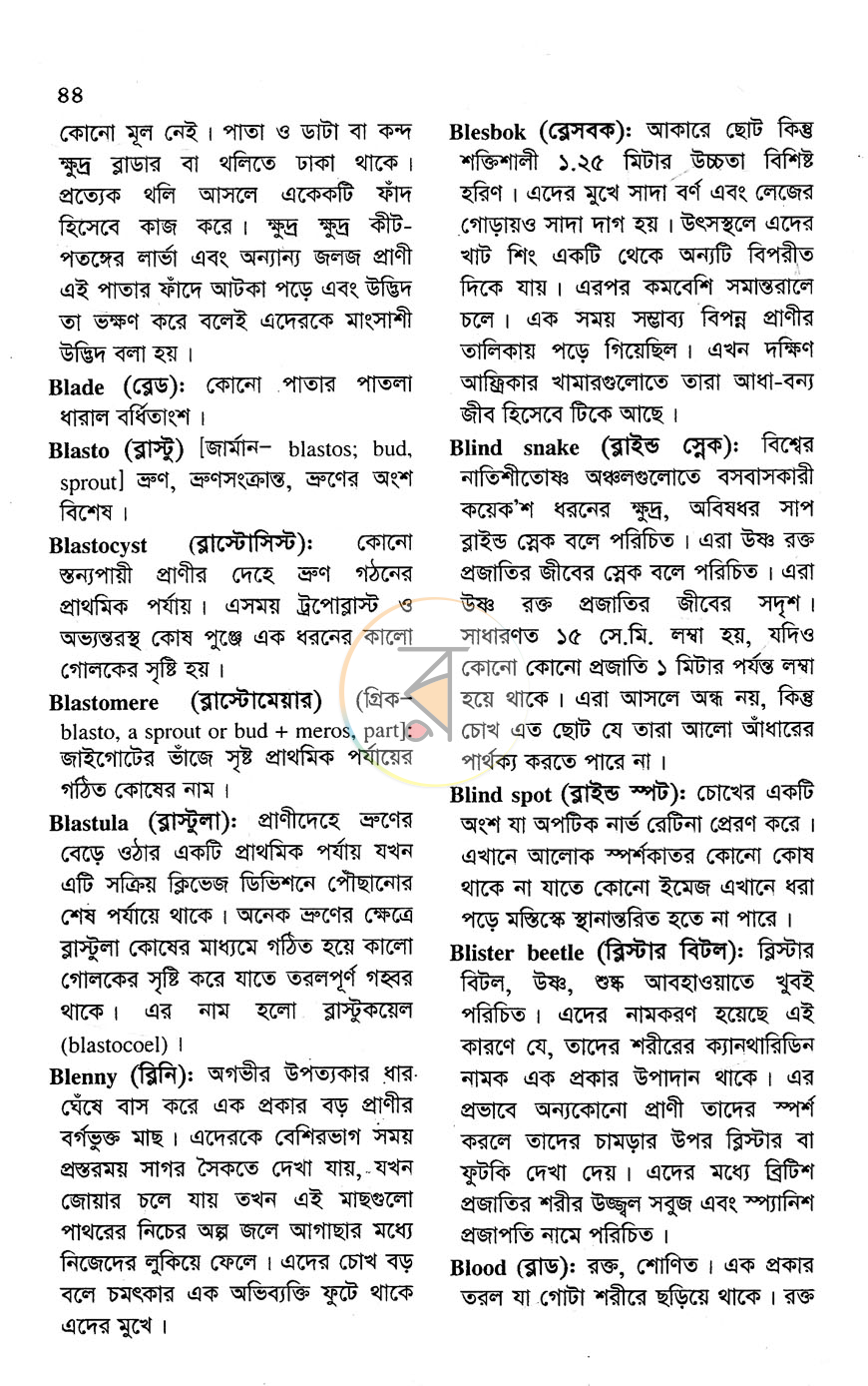 পাতা 10