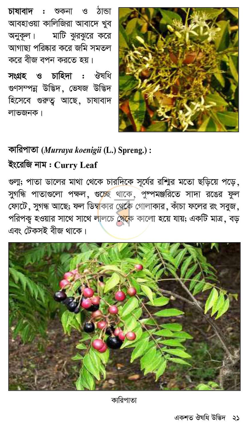 পাতা 14