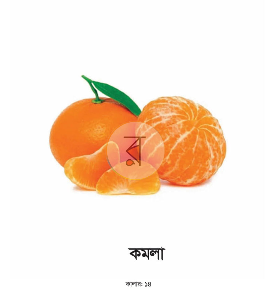 পাতা 24