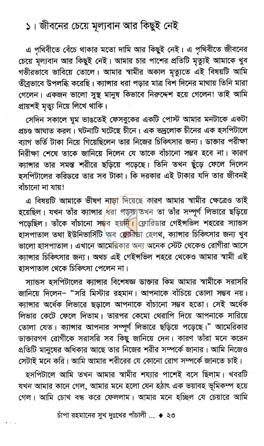 পাতা 13