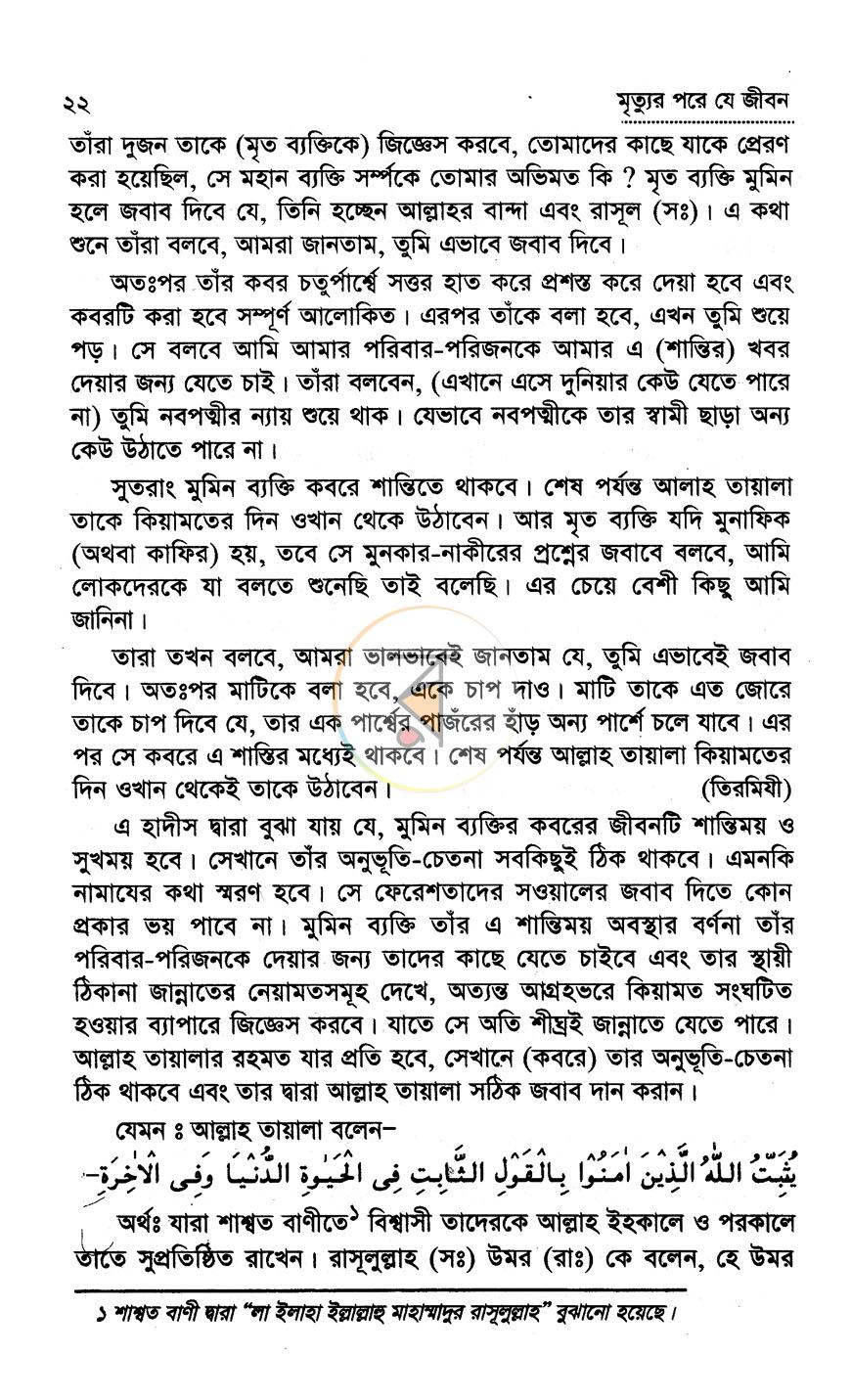 পাতা 10