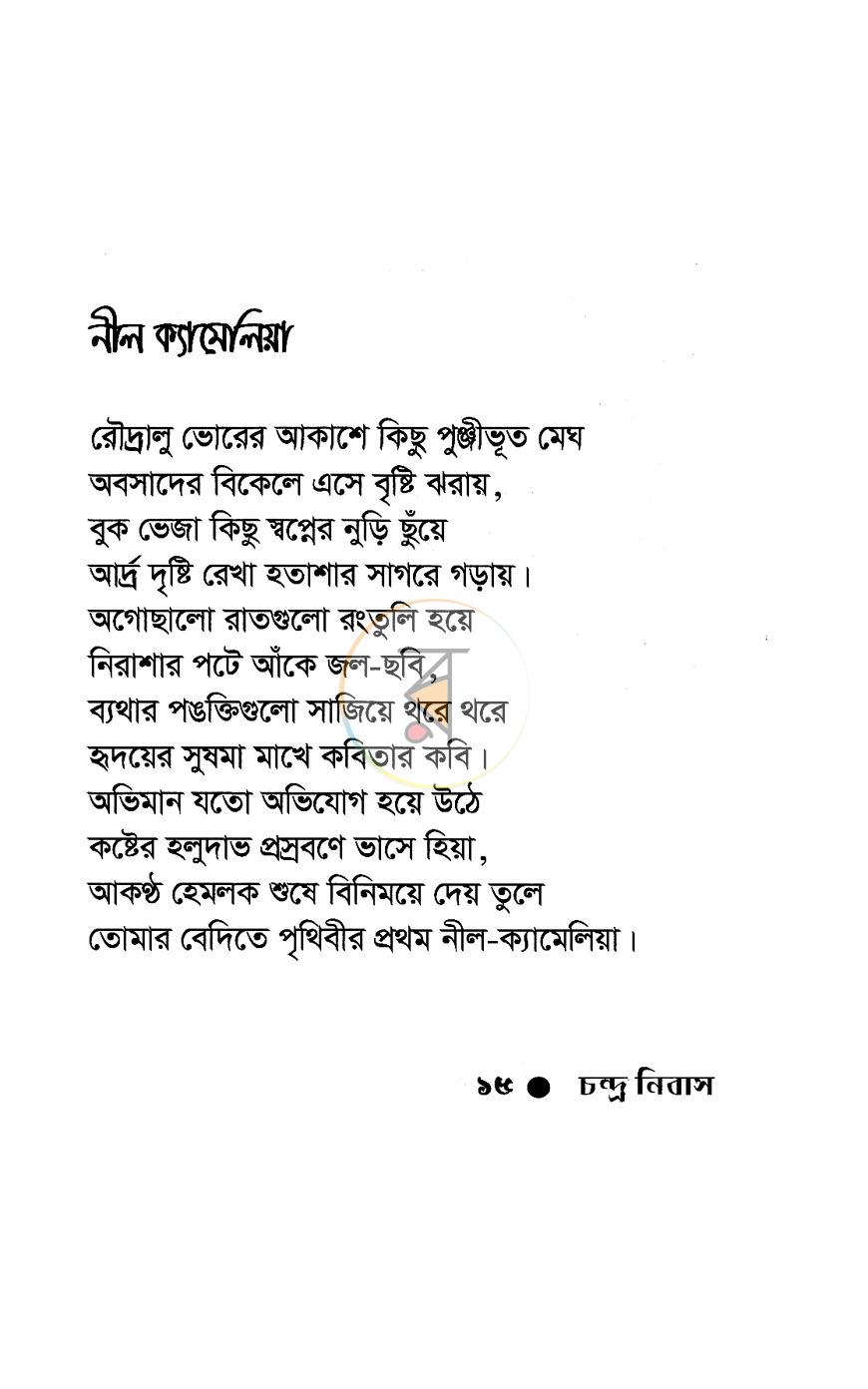 পাতা 11