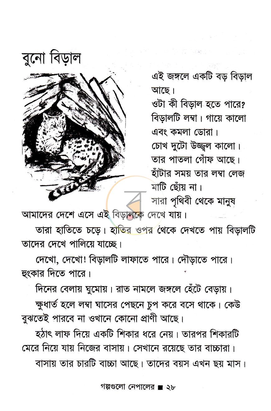 পাতা 12