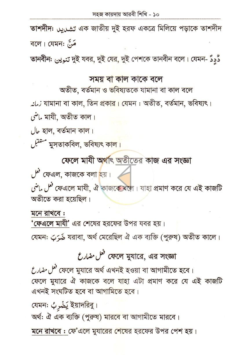 পাতা 8