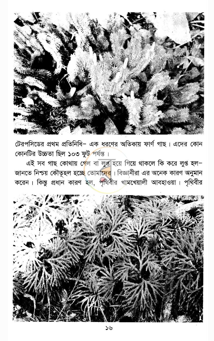 পাতা 10