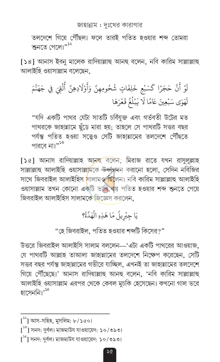 পাতা 13