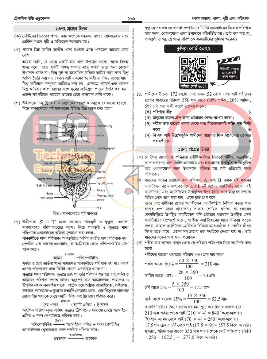 পাতা 41