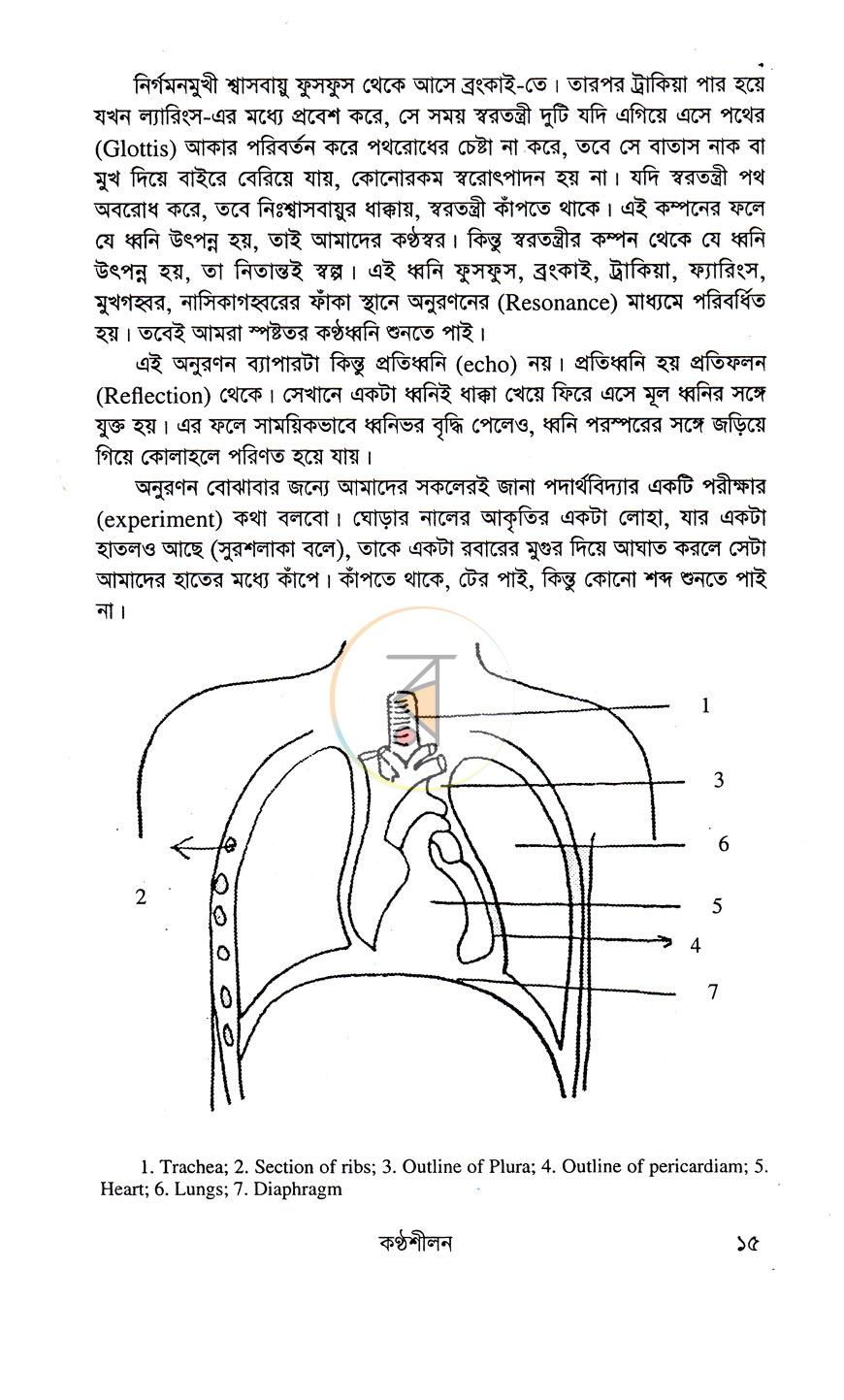 পাতা 10