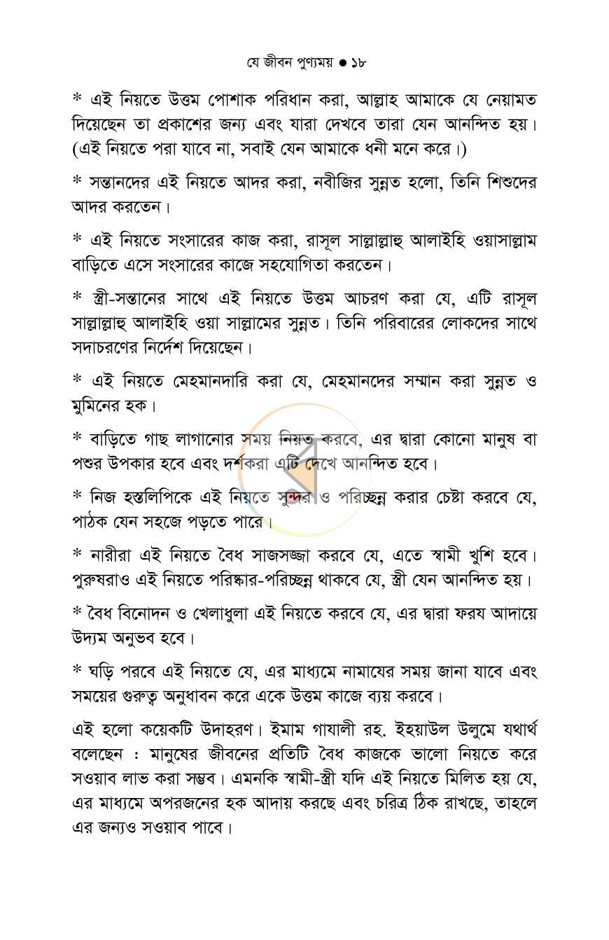 পাতা 13
