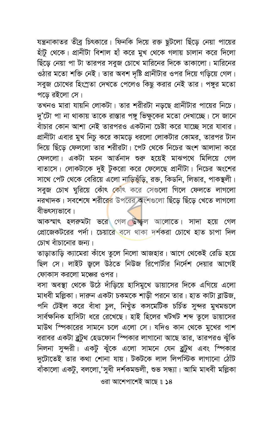পাতা 13