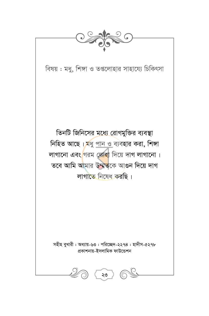 পাতা 14