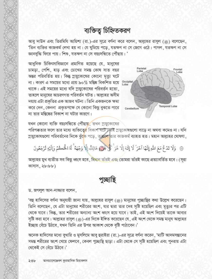 পাতা 14