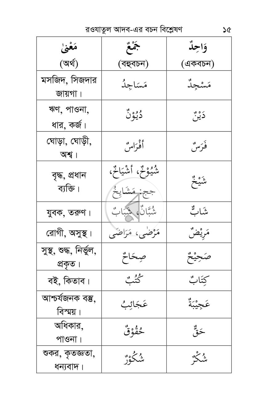 পাতা 12