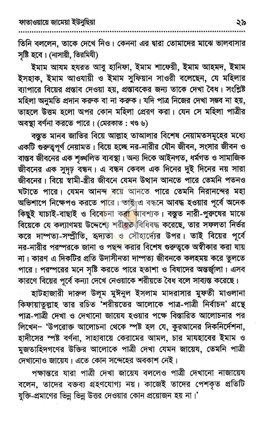 পাতা 13