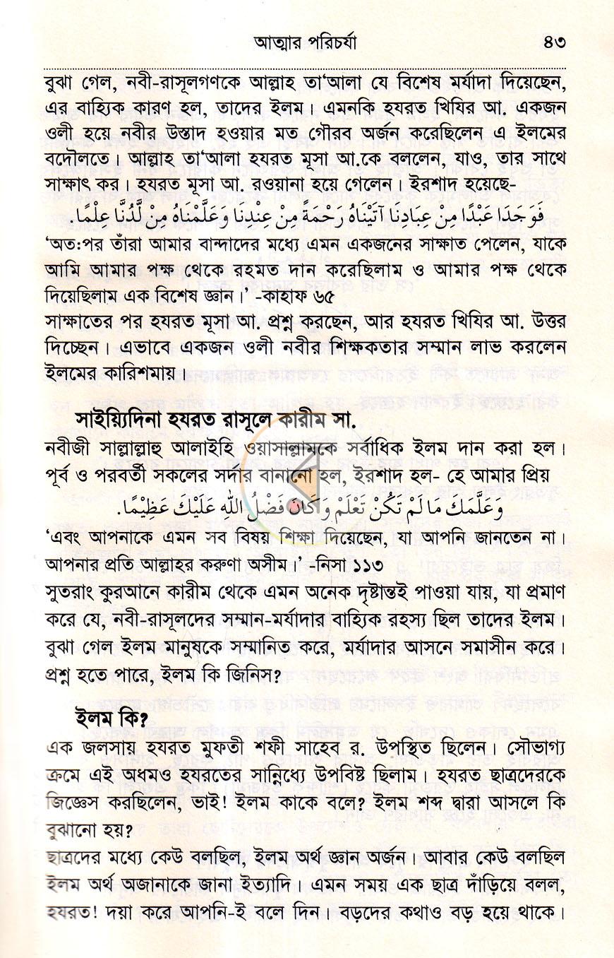 পাতা 19