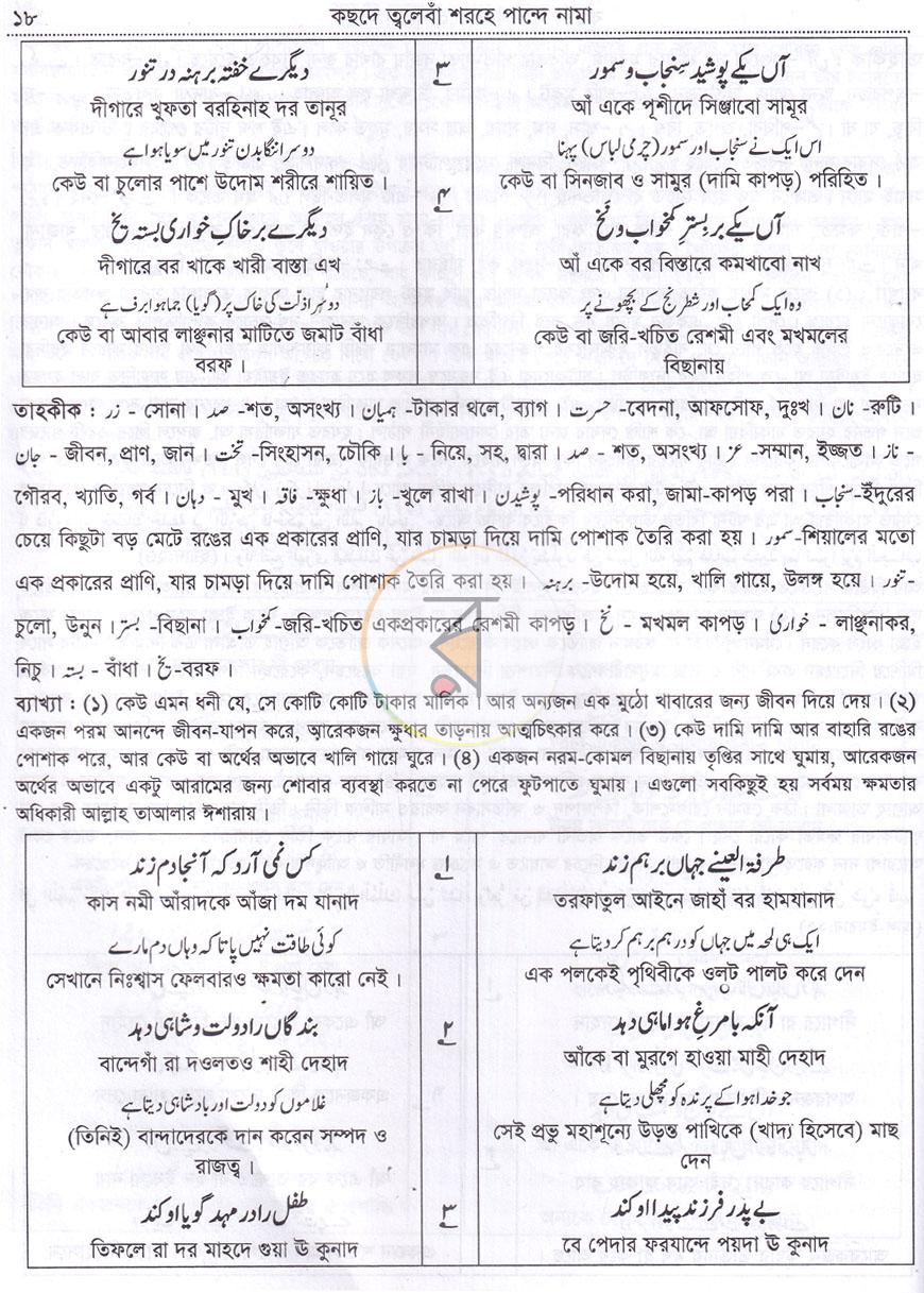 পাতা 11