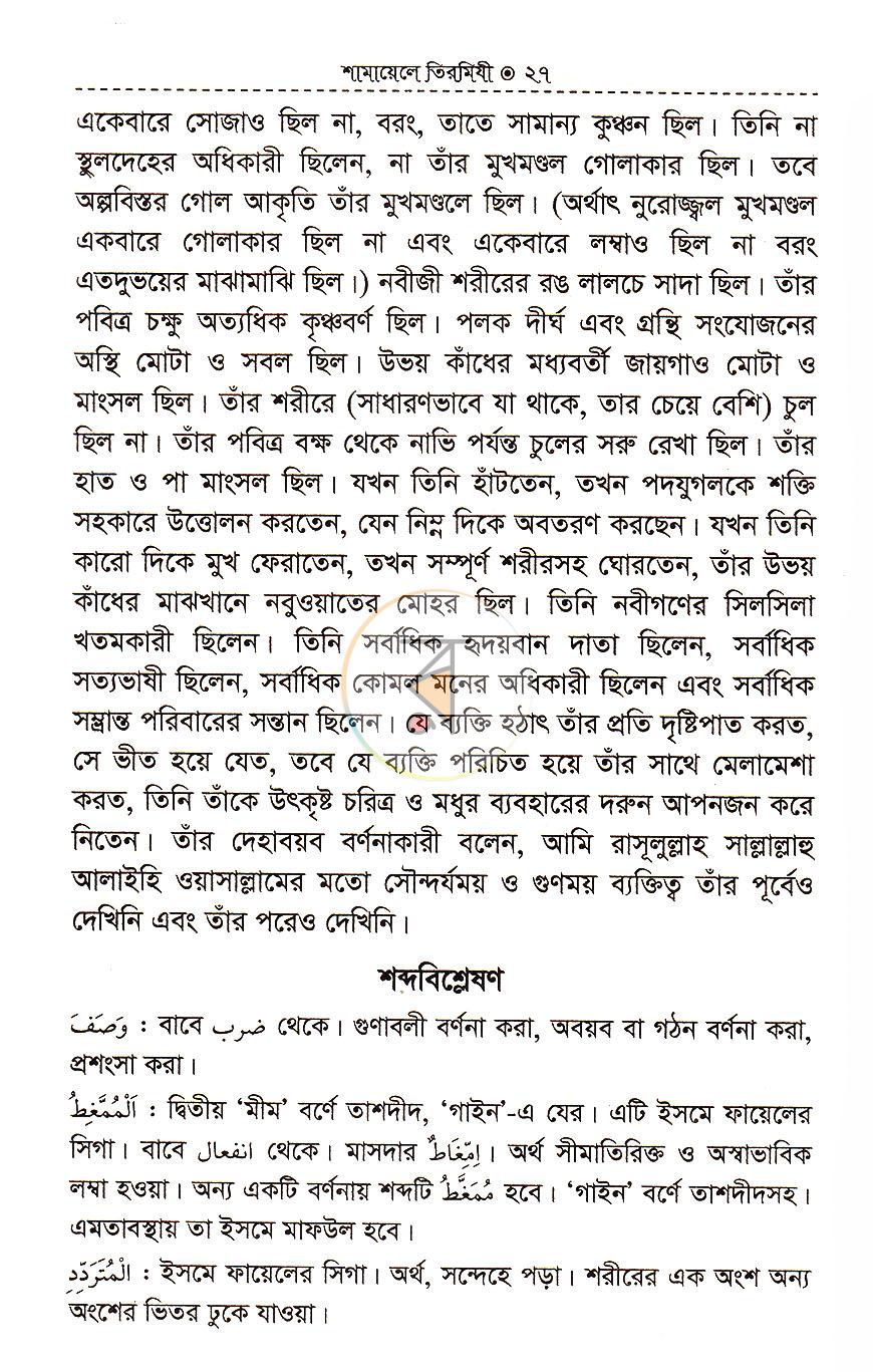 পাতা 11