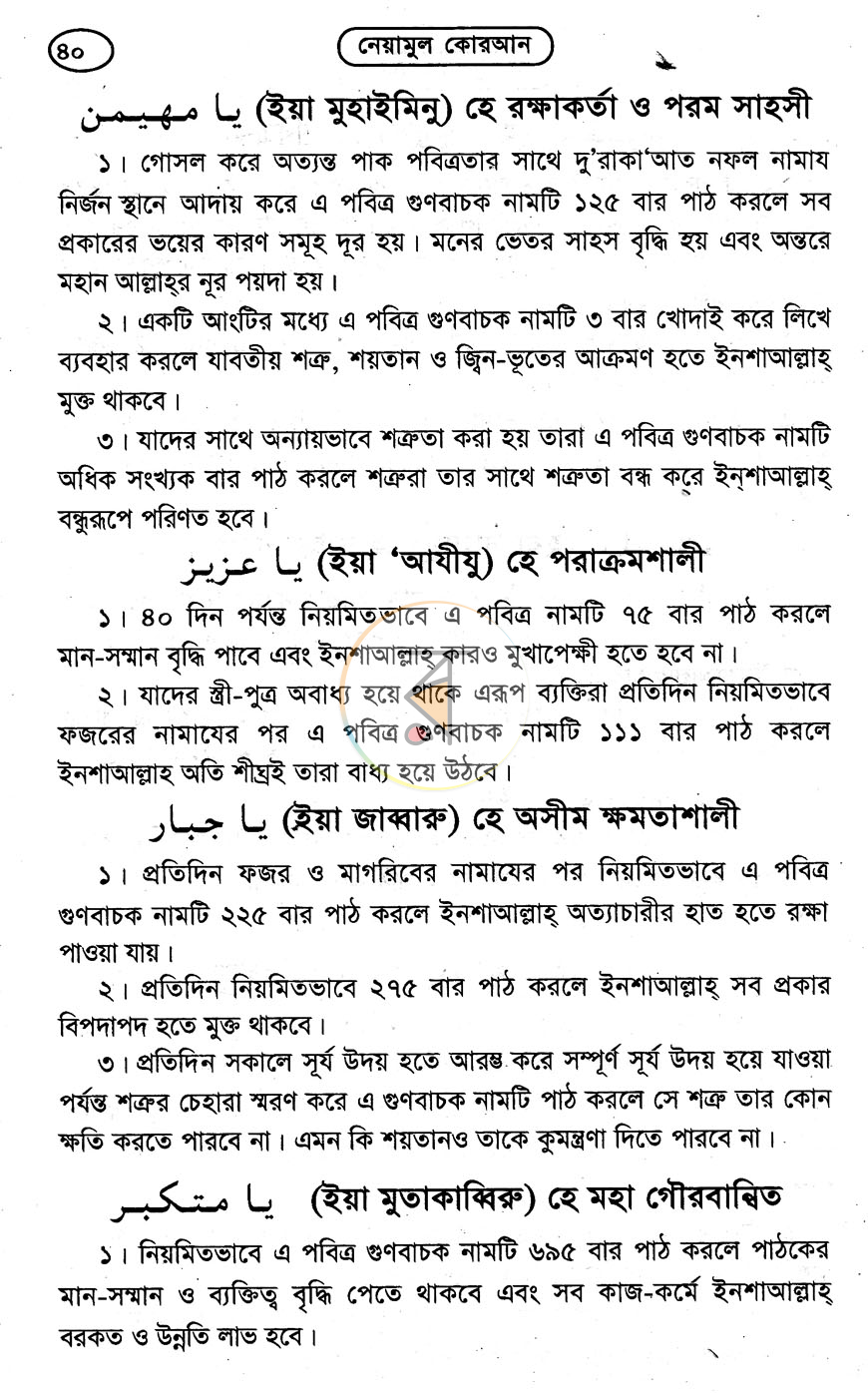 পাতা 11