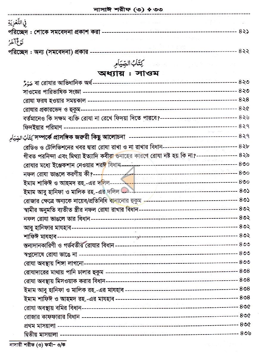 পাতা 13