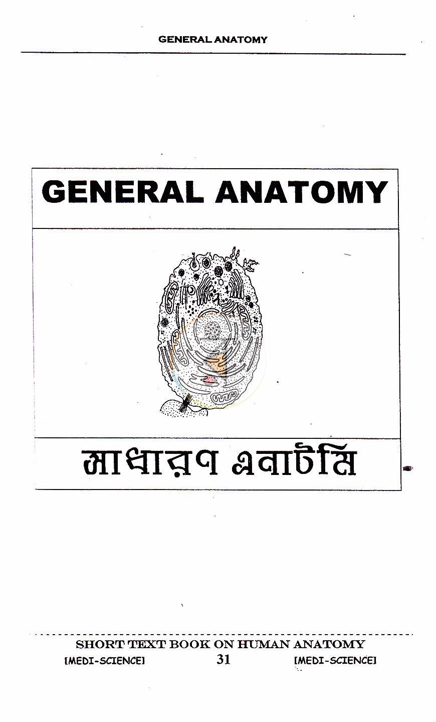 পাতা 11