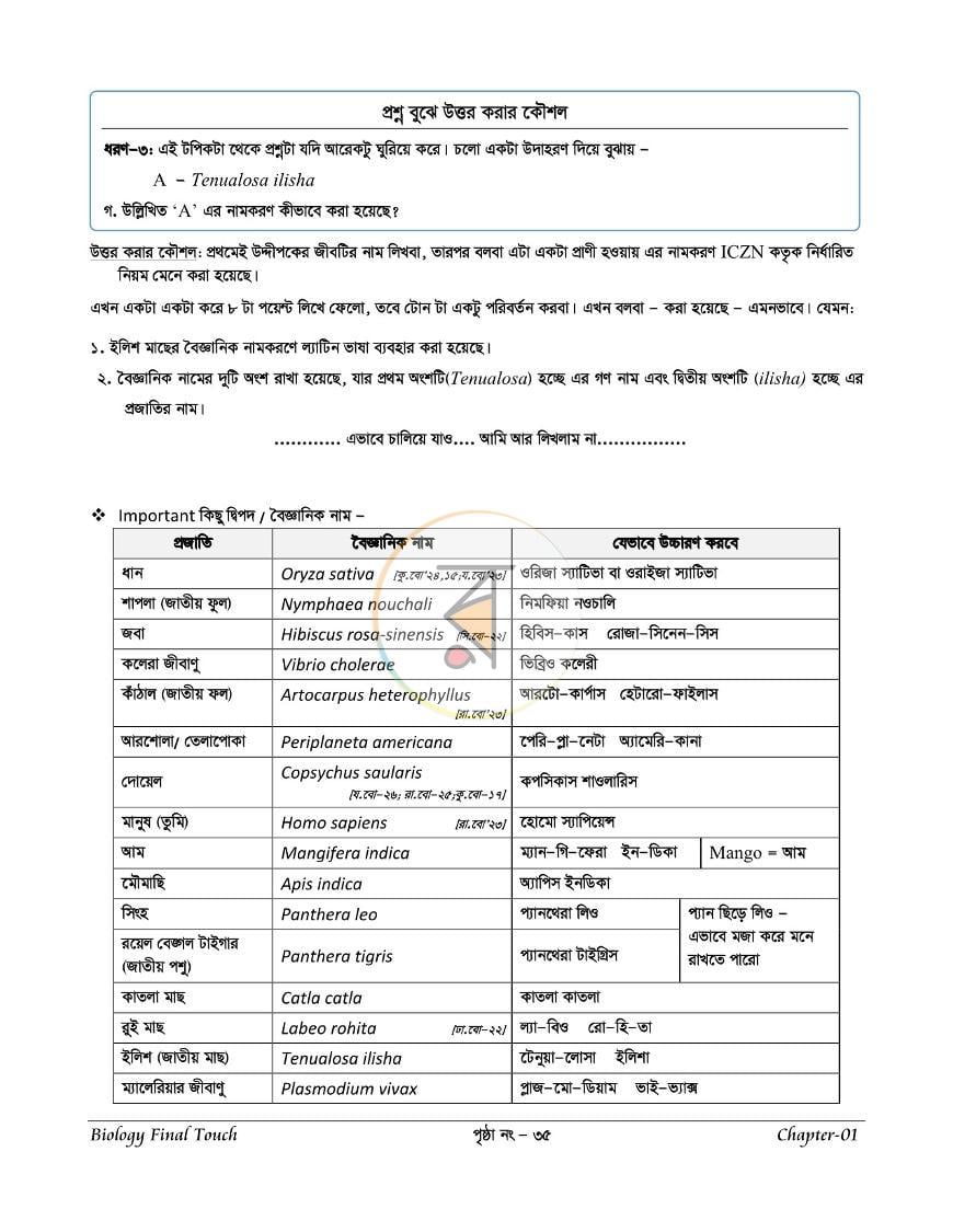 পাতা 8