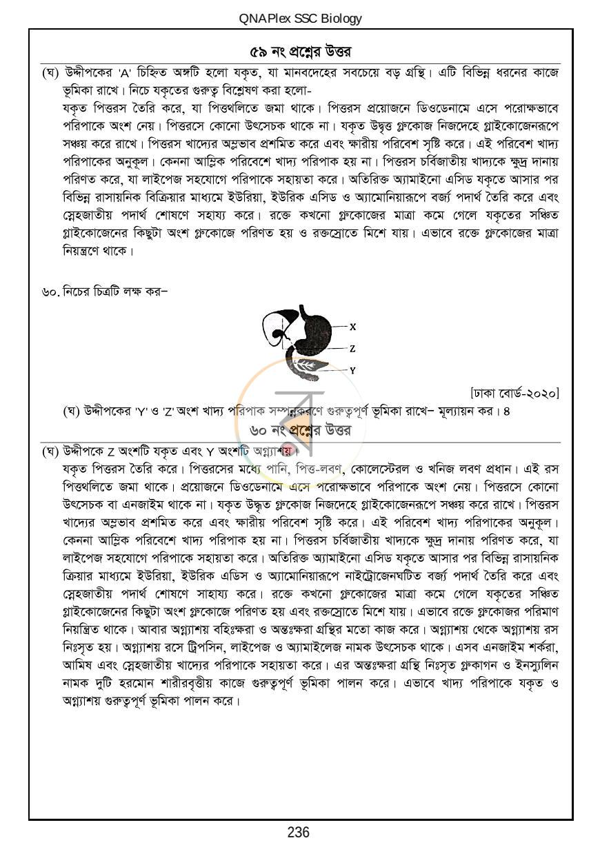 পাতা 25