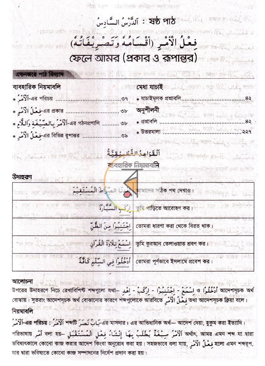 পাতা 8