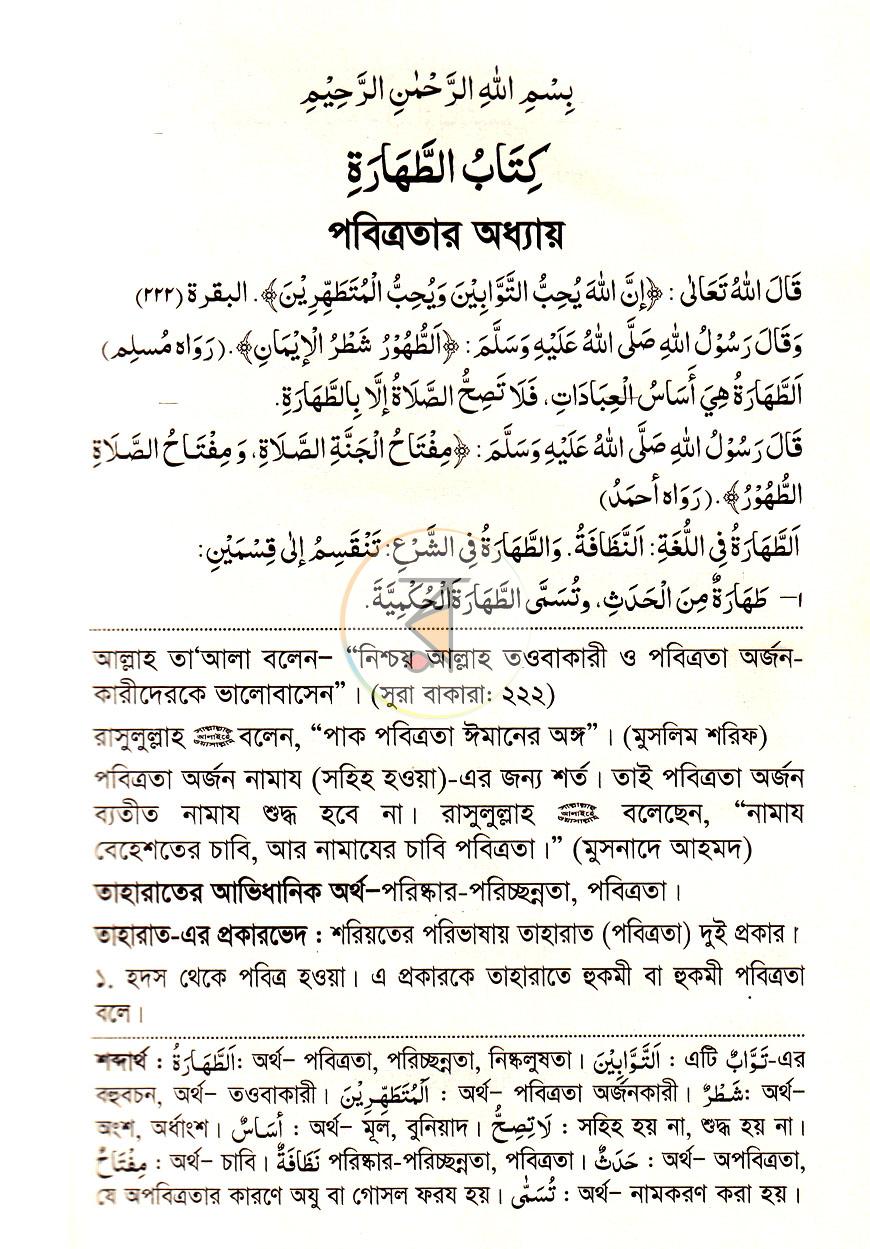 পাতা 11