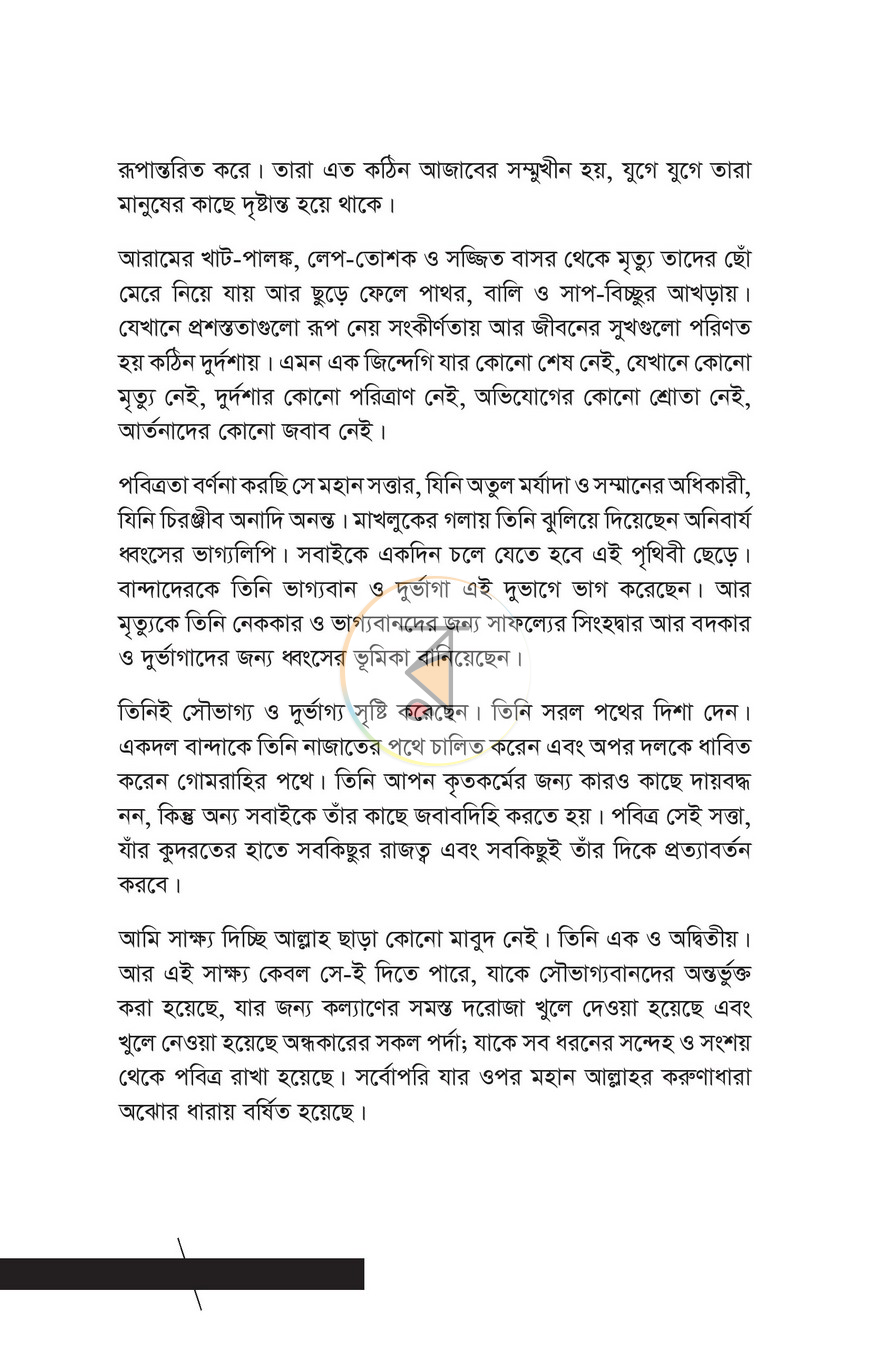 পাতা 11